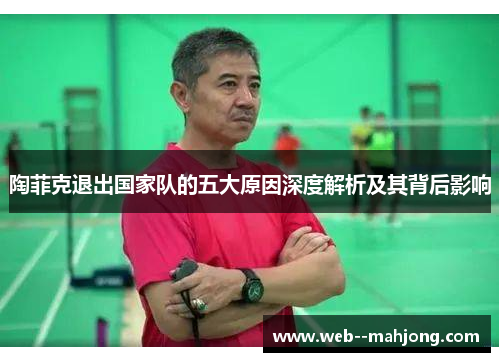 陶菲克退出国家队的五大原因深度解析及其背后影响